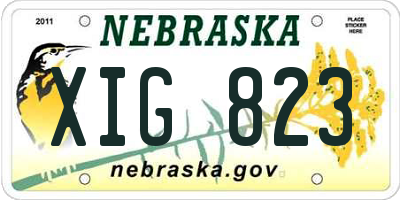 NE license plate XIG823