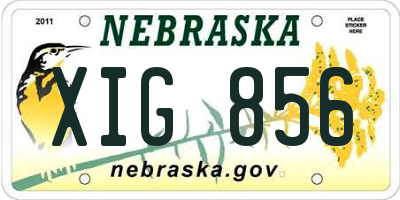 NE license plate XIG856