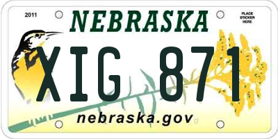 NE license plate XIG871