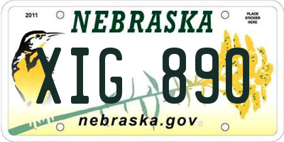 NE license plate XIG890