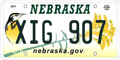 NE license plate XIG907