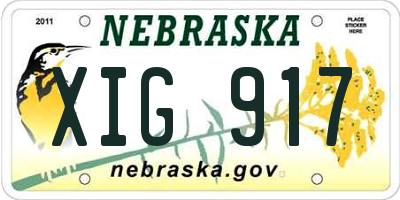 NE license plate XIG917