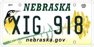 NE license plate XIG918