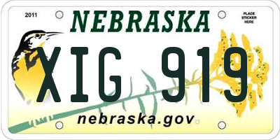 NE license plate XIG919
