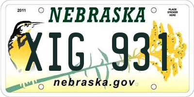 NE license plate XIG931