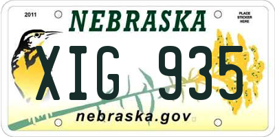 NE license plate XIG935