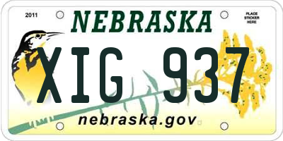NE license plate XIG937