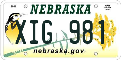NE license plate XIG981