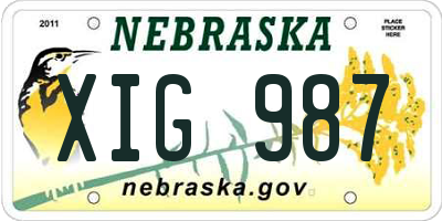 NE license plate XIG987