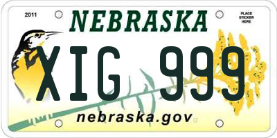 NE license plate XIG999
