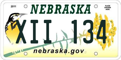NE license plate XII134