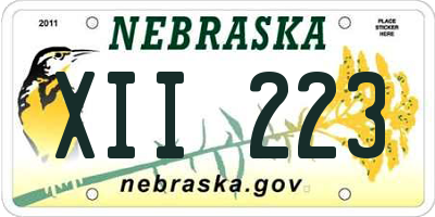 NE license plate XII223