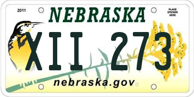 NE license plate XII273