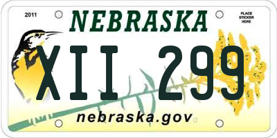NE license plate XII299