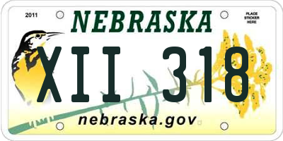 NE license plate XII318