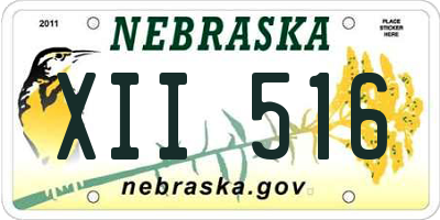 NE license plate XII516