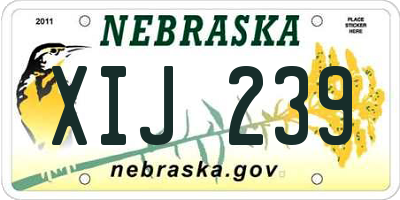 NE license plate XIJ239