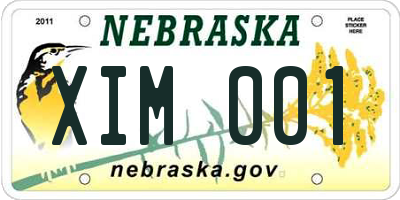 NE license plate XIM001