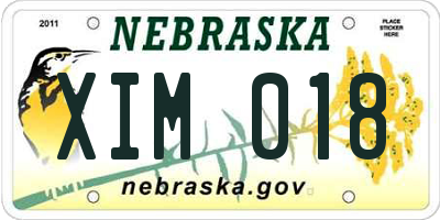NE license plate XIM018