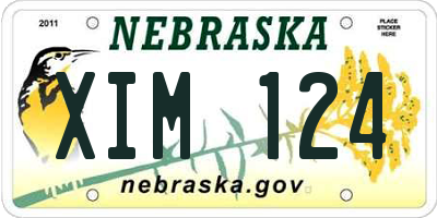 NE license plate XIM124