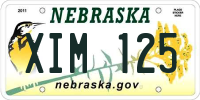 NE license plate XIM125