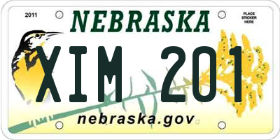 NE license plate XIM201