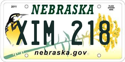 NE license plate XIM218