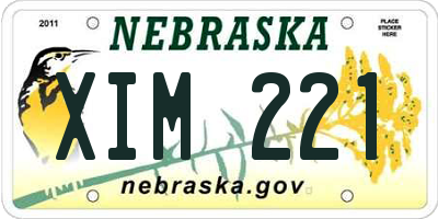 NE license plate XIM221