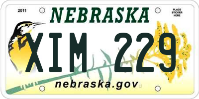 NE license plate XIM229