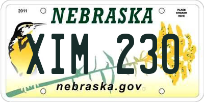 NE license plate XIM230