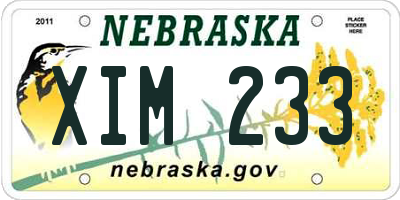 NE license plate XIM233