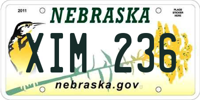 NE license plate XIM236