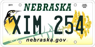 NE license plate XIM254