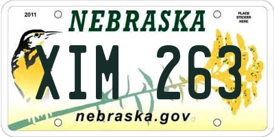 NE license plate XIM263