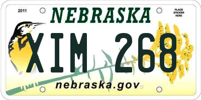 NE license plate XIM268