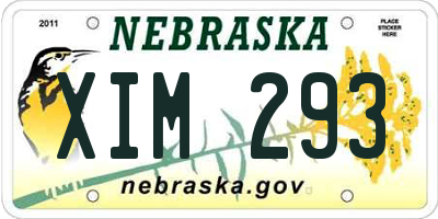NE license plate XIM293