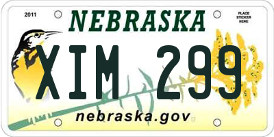 NE license plate XIM299