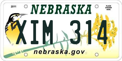 NE license plate XIM314