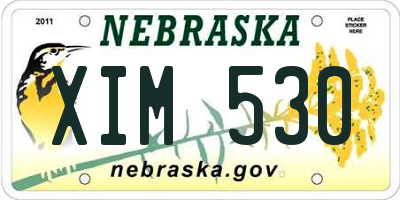 NE license plate XIM530