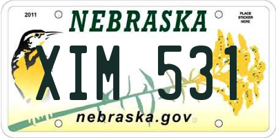 NE license plate XIM531