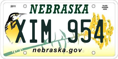 NE license plate XIM954