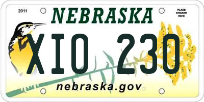 NE license plate XIO230