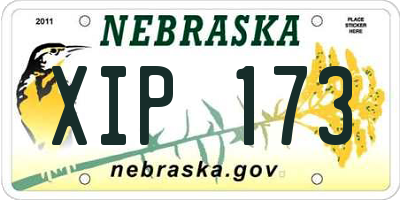 NE license plate XIP173