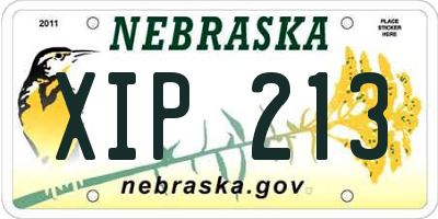 NE license plate XIP213
