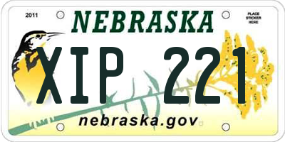NE license plate XIP221