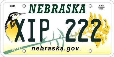 NE license plate XIP222