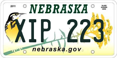 NE license plate XIP223
