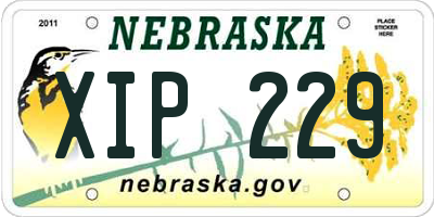 NE license plate XIP229