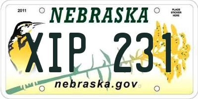 NE license plate XIP231