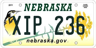 NE license plate XIP236